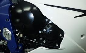 TRIUMPH DAYTONA 675 2009