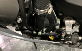 KAWASAKI NINJA ZX-6R 2020 ZX636G