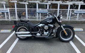 HARLEY  HARLEY FLSTFB 2010 JN5