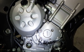 YAMAHA FZ1 FAZER 2008 RN21J