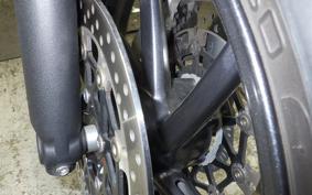 TRIUMPH SPEED TWIN 2019