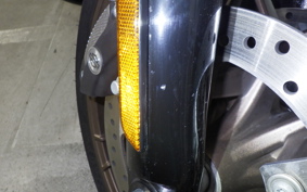 OTHER +HD. FLHXST1920 2023