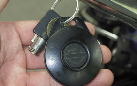 OTHER +HD. FLHRSE1550 2002