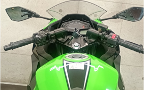 KAWASAKI NINJA 250 EX250L