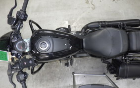 HARLEY RH975 2023