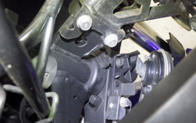 YAMAHA YZF-R25 RG10J