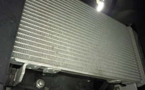 YAMAHA YZF-R25 RG43J