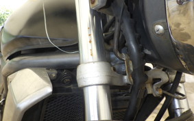 KAWASAKI BALIUS 250 ZR250A