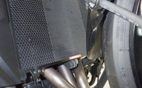 YAMAHA XSR900 2024 RN80J