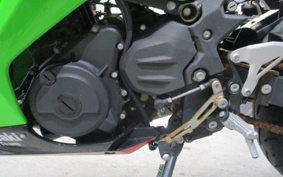 KAWASAKI Ninja 250 ABS EX250P