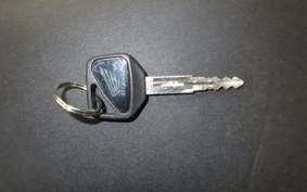 HONDA CBR1100XX 2001