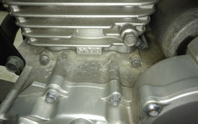 YAMAHA TRICKER 2021 DG10J