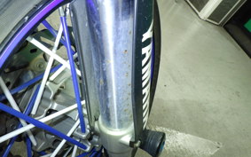 YAMAHA WR250X DG15J