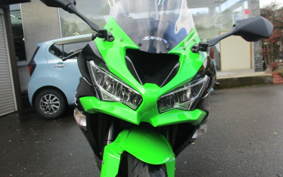 KAWASAKI NINJA ZX-6R 2019 ZX636G