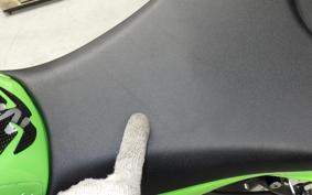 KAWASAKI NINJA ZX-6R A 2024 ZX636J