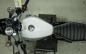 KAWASAKI W800 2025 EJ800E