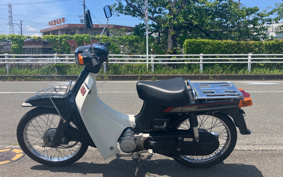 SUZUKI BIRDIE80 BC41A