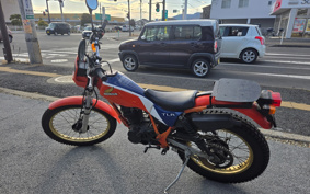 HONDA TLR200 MD09