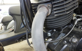 OTHER MUTT250