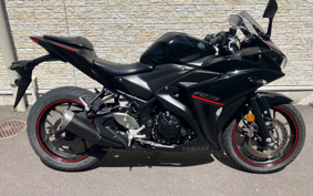 YAMAHA YZF-YZF-R3 ABS 2019 RH13J