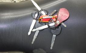 SUZUKI Vｽﾄﾛｰﾑ250A 2025