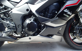 KAWASAKI NINJA 1000 SX 2024 ZXT02K