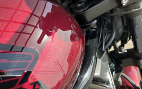 HONDA REBEL 1100 DCT 2021 SC83