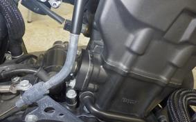 HONDA REBEL 250 S 2004 MC49