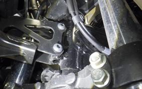 SUZUKI Vｽﾄﾛｰﾑ250SX 2023 EL11L