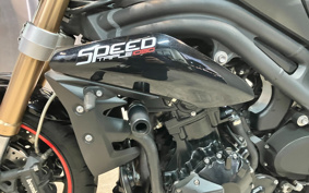 TRIUMPH SPEED TRIPLE 2013 TPN105