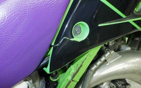 KAWASAKI KDX220SR 1994 DX220B