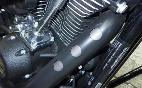 HARLEY FXLRS1920 2025