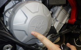 MV AGUSTA BRUTALE 800 A 2022