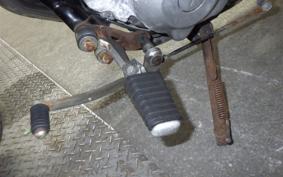 YAMAHA VIRAGO 250 3DM