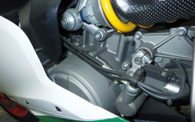 DUCATI 1299 PANIGALE R 2017