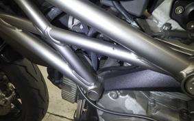 DUCATI MONSTER 1100 EVO 2013