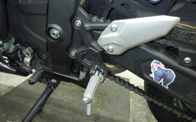KAWASAKI ZX-4RR 2024 ZX400P