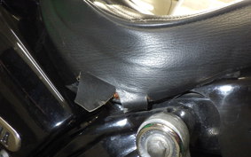 YAMAHA DRAGSTAR 250 VG02J