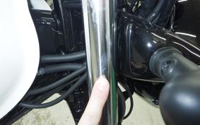 KAWASAKI W230 2025 BJ230A