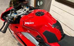 DUCATI PANIGA-REV4S 2019 DA00J