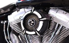 HARLEY FXST 2010 BV5