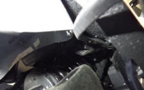 HARLEY FXLRST1920 2025