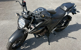 SUZUKI JIKUSA-250 ED22B