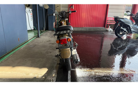 SUZUKI BIRDIE50 BA43A