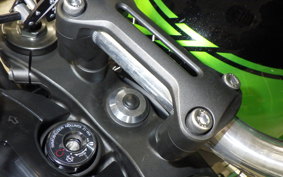 KAWASAKI Z900RS ZR900K