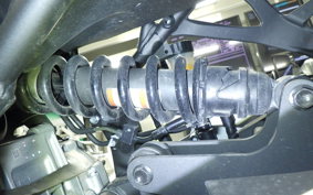 KAWASAKI ZX-4R SE 2025 ZX400P