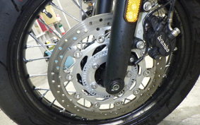 TRIUMPH BONNEVILLE T100 2024