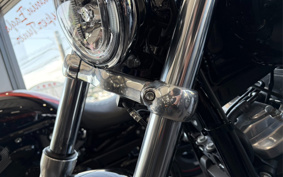 HARLEY FXST1340-1450 2020 BVJ