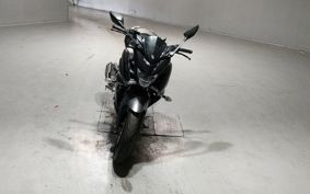 YAMAHA FATHER 250 RG42