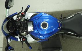 SUZUKI GSX-R1000 2010